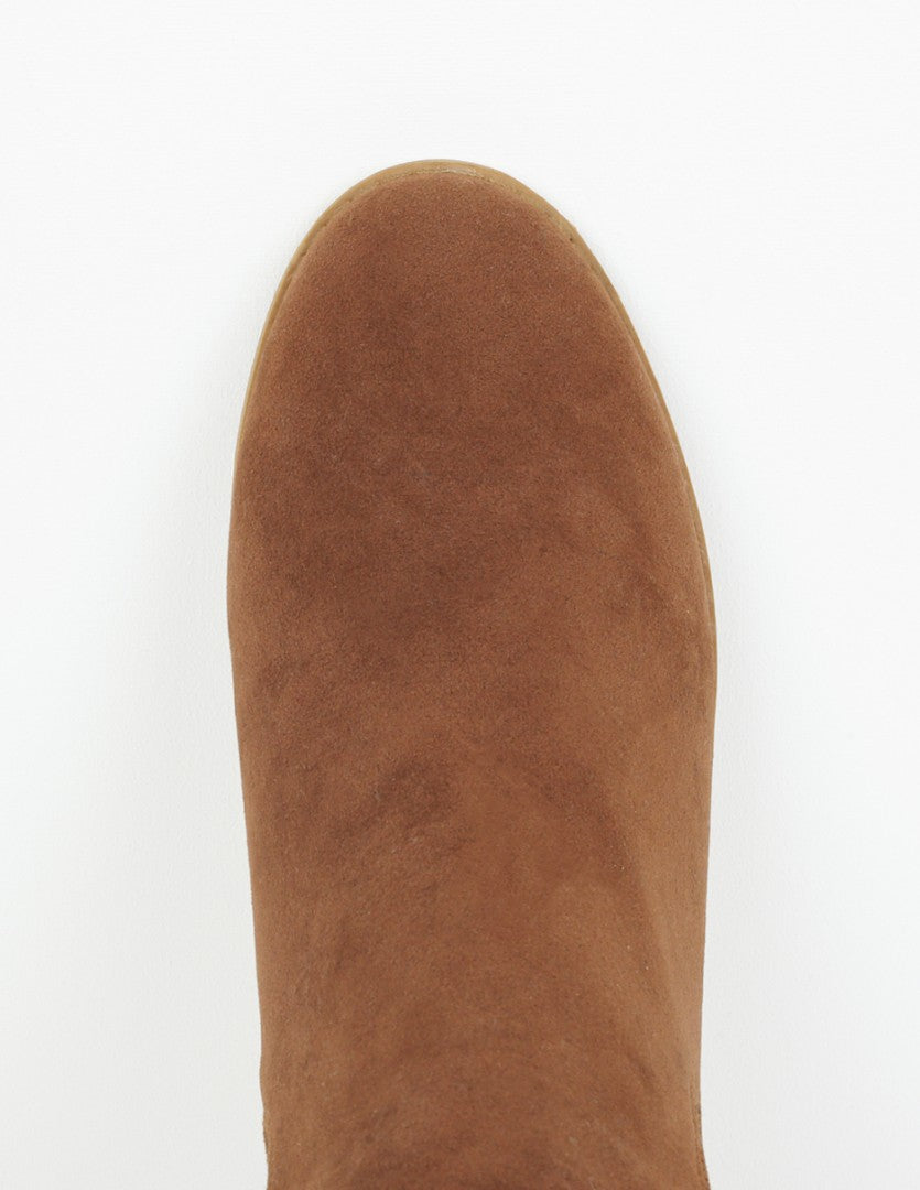TAN